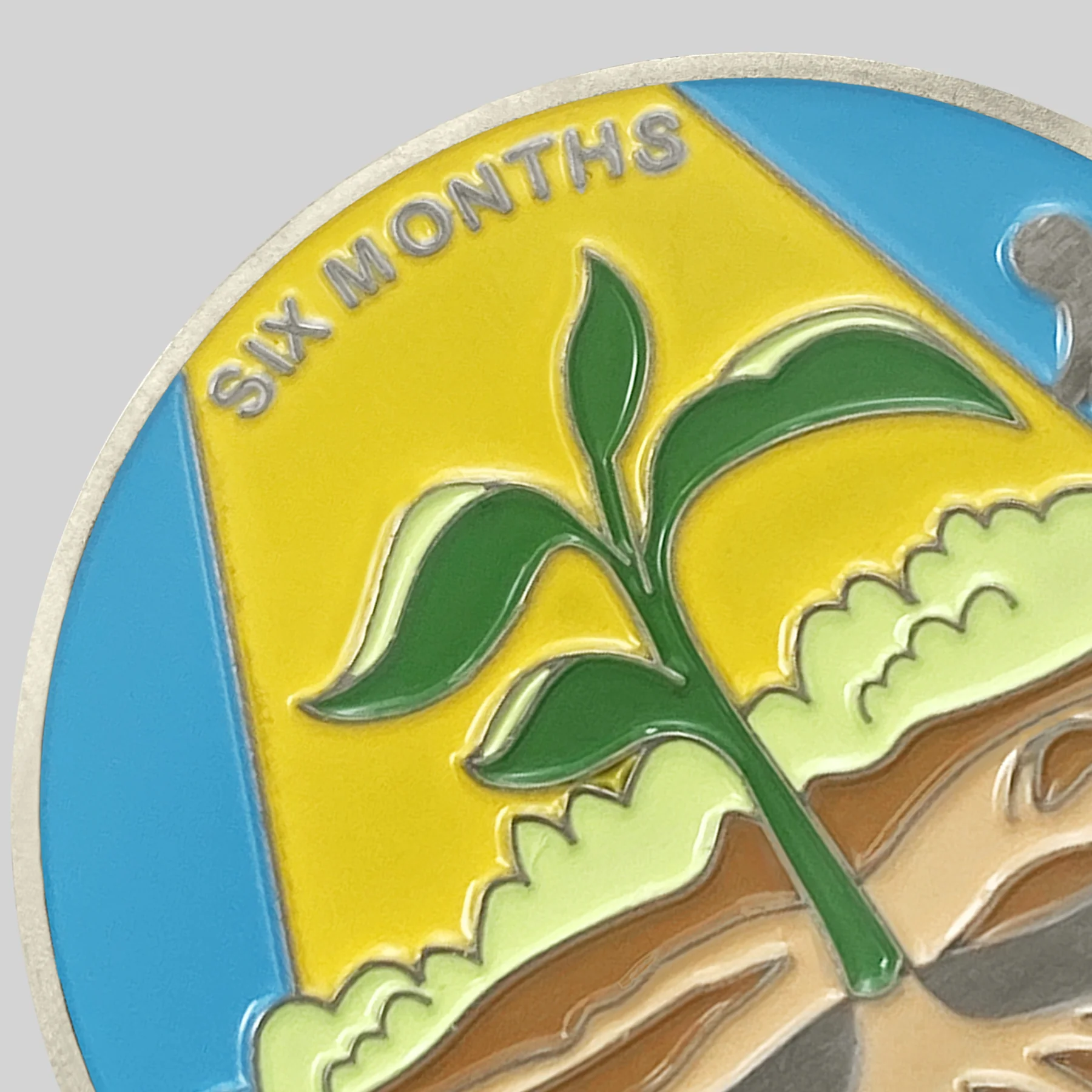 1 Month 1 Year Mountains and Highways Commemorative Gift Sobriety Coin - Image 21