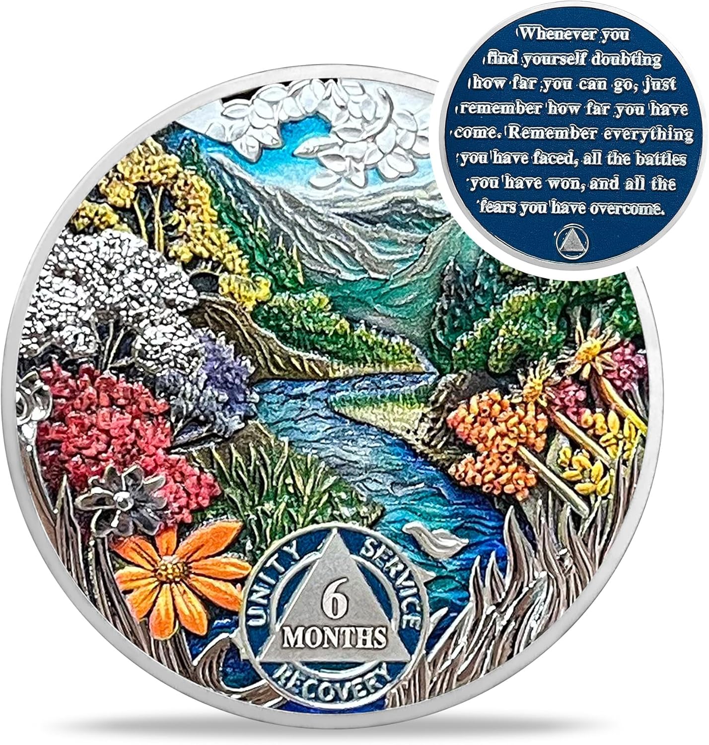 1-12 Month Recovery Seasonal Landscapes Sobriety Coins - Image 11