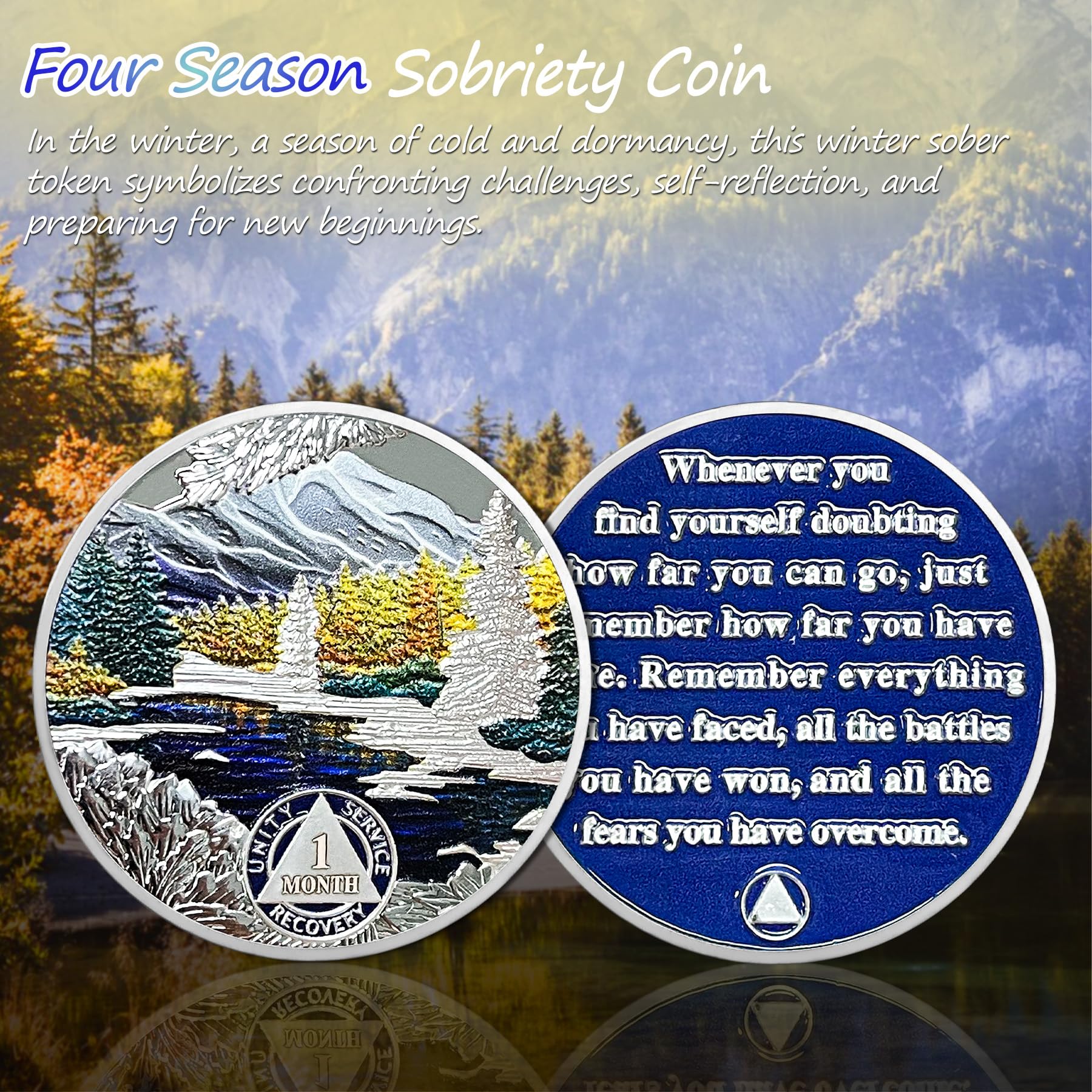 1-12 Month Recovery Seasonal Landscapes Sobriety Coins - Image 6