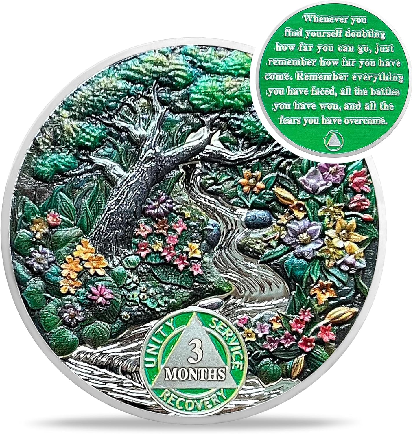 1-12 Month Recovery Seasonal Landscapes Sobriety Coins - Image 8